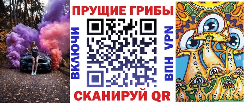 Псилоцибиновые грибы Cubensis  маркетплейс телеграм  Цивильск 